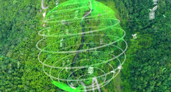 Integrated Management Systems Environmental Policy