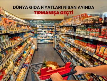 Dünya Gıda Fiyatları Nisan Ayında Tırmanışa Geçti