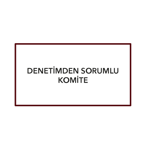 Denetimden Sorumlu Komite