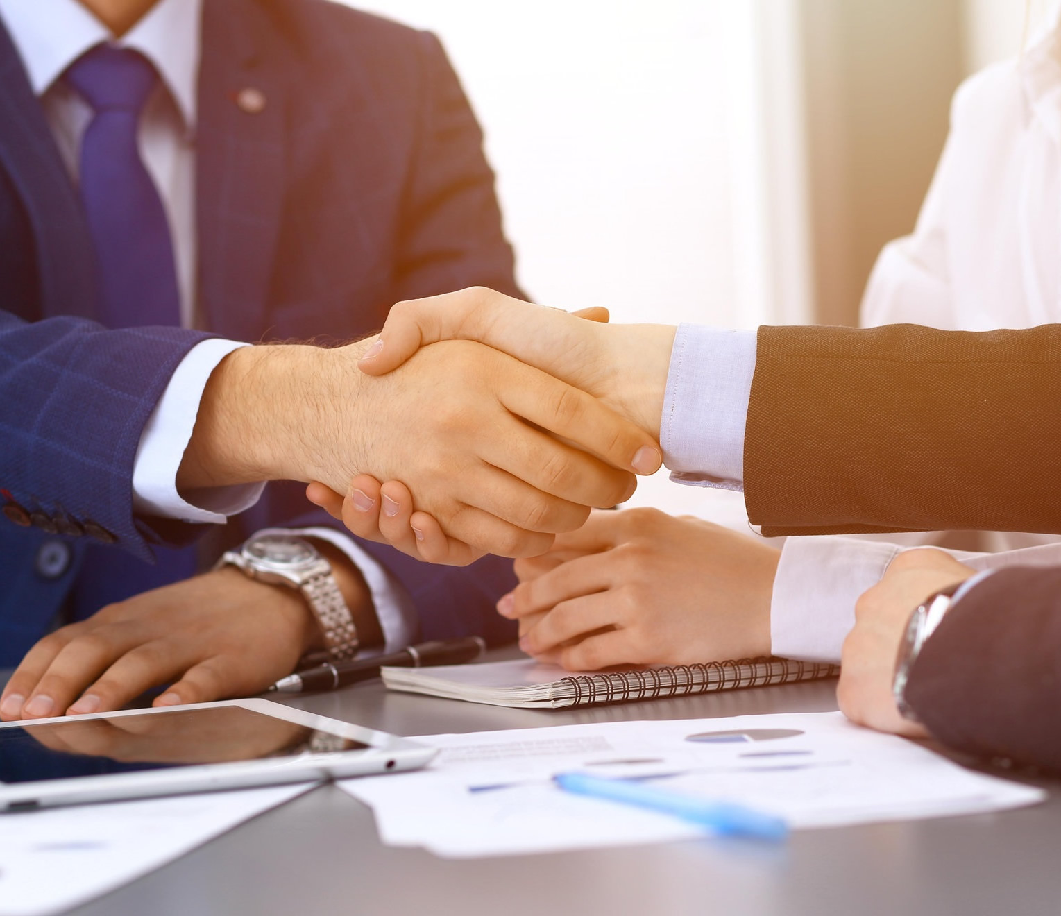CUSTOMS CONSULTANCY