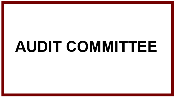 Audit Committee
