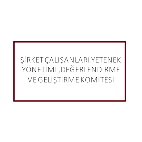 Şirket Çalışanları Yetenek Yönetimi Değerlendirme ve Geliştirme Komitesi