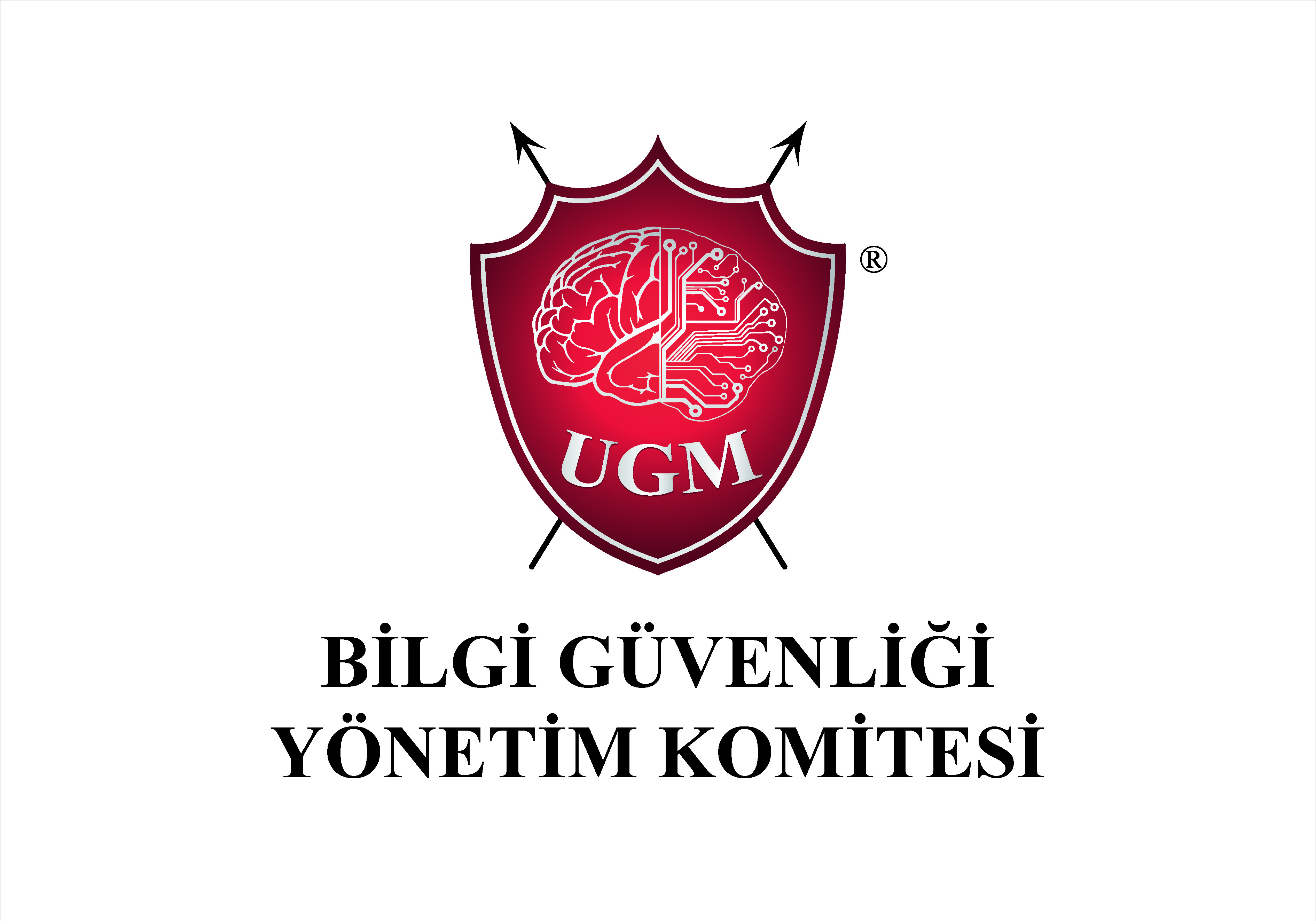 Bilgi Güvenliği Yönetim Komitesi