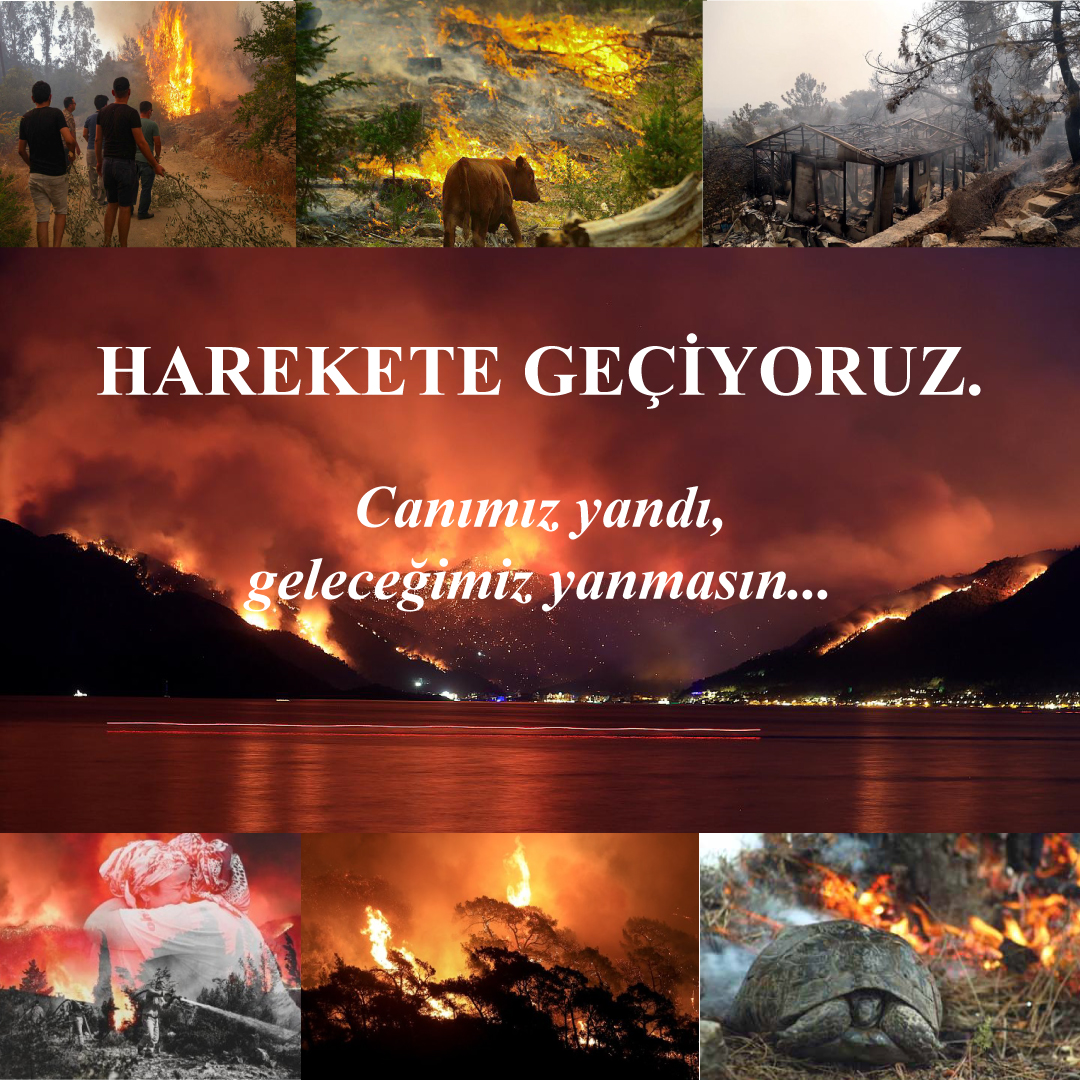 Harekete Geçiyoruz